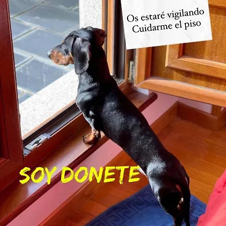 Fantastico En *